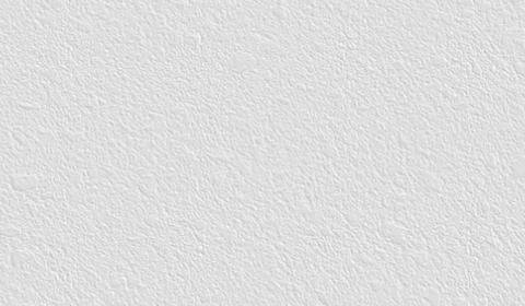 Background Privacy Policy